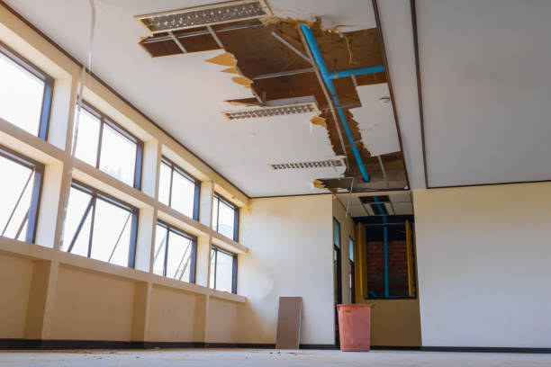 Best Flood damage cleanup  in Warminster Heights, PA