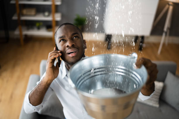 Best Basement water damage restoration  in Warminster Heights, PA