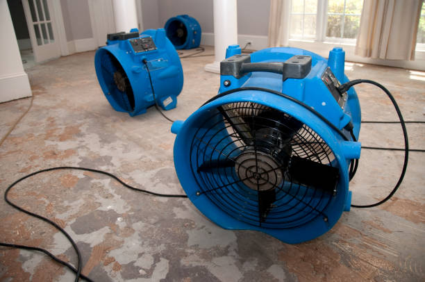 Best Water damage restoration near me  in Warminster Heights, PA