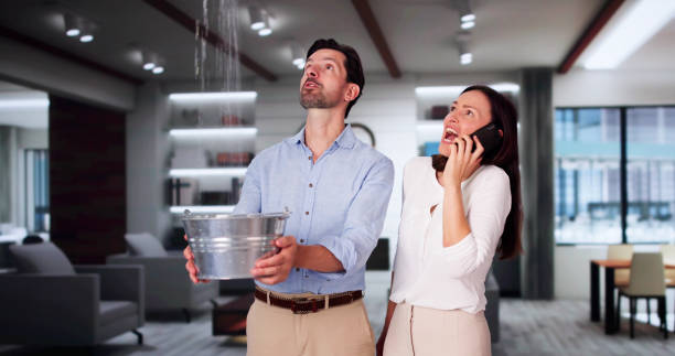 Best 24-hour water damage restoration  in Warminster Heights, PA