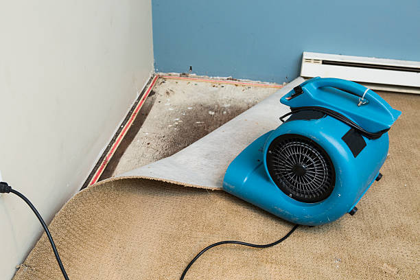 Best Residential water damage restoration  in Warminster Heights, PA